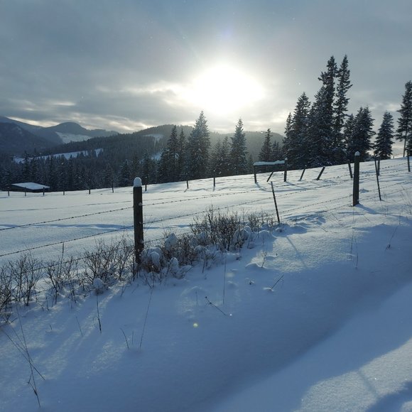 Meet your Posher, TL - Picture 9 of 14